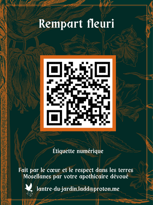 Rempart fleuri — Tisane aux cinq plantes